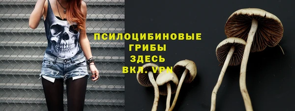 сатива Абдулино