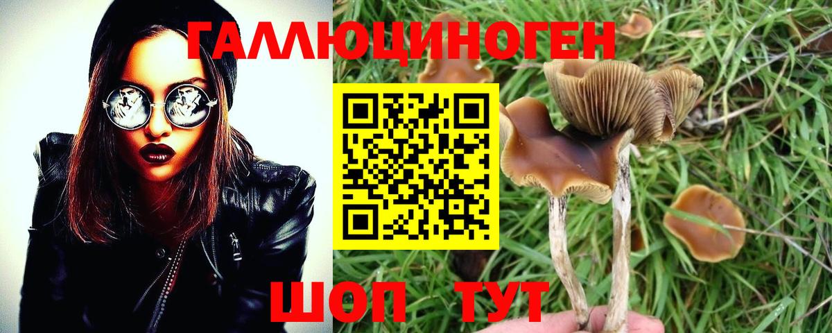 Псилоцибиновые грибы MAGIC MUSHROOMS  Вход с VPN  Галлюциногенные грибы MAGIC MUSHROOMS  Клинцы 
