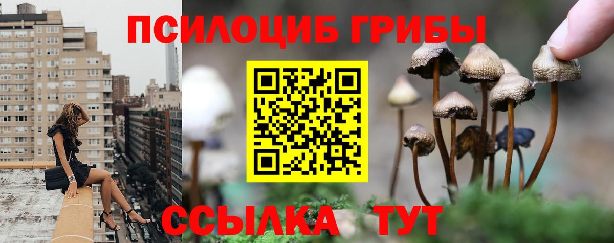 Галлюциногенные грибы мухоморы Клинцы